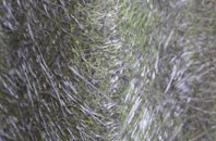 Greta Bridge fibreglass roof work